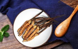 冬蟲夏草有何藥用價(jià)值，蟲草有啥子作用