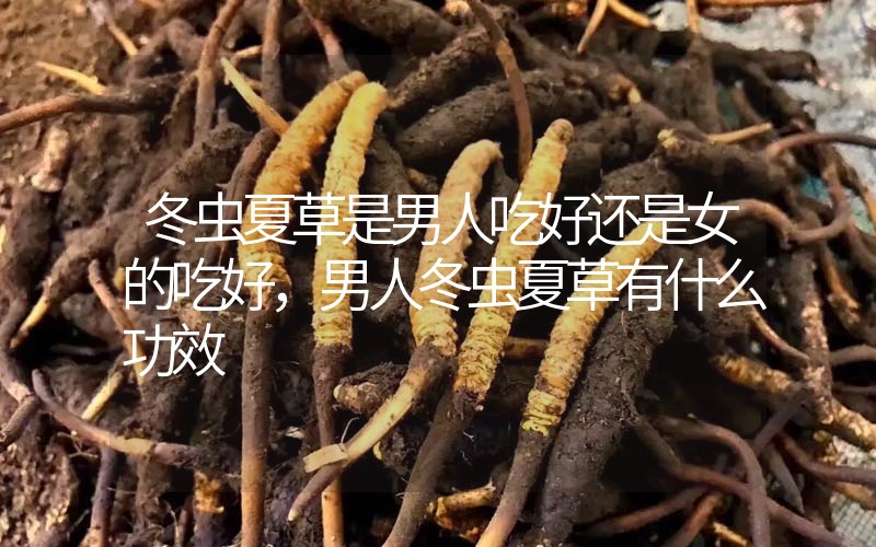 冬蟲夏草是男人吃好還是女的吃好，男人冬蟲夏草有什么作用
