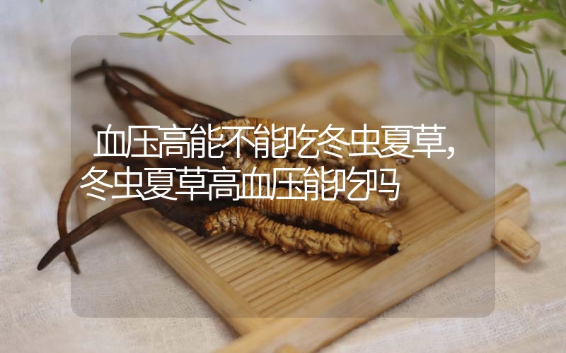 血壓高能不能吃冬蟲夏草，冬蟲夏草高血壓能吃嗎？