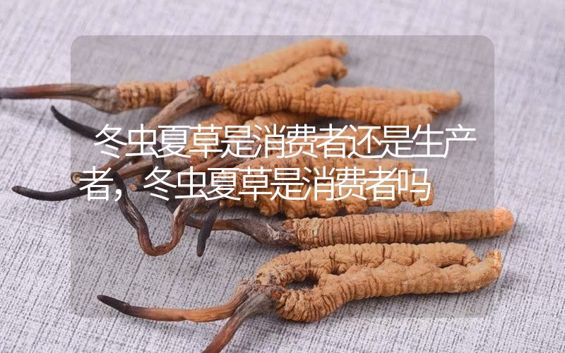 貧血吃冬蟲夏草有效果嗎，貧血虛弱者可以用冬蟲夏草嗎？