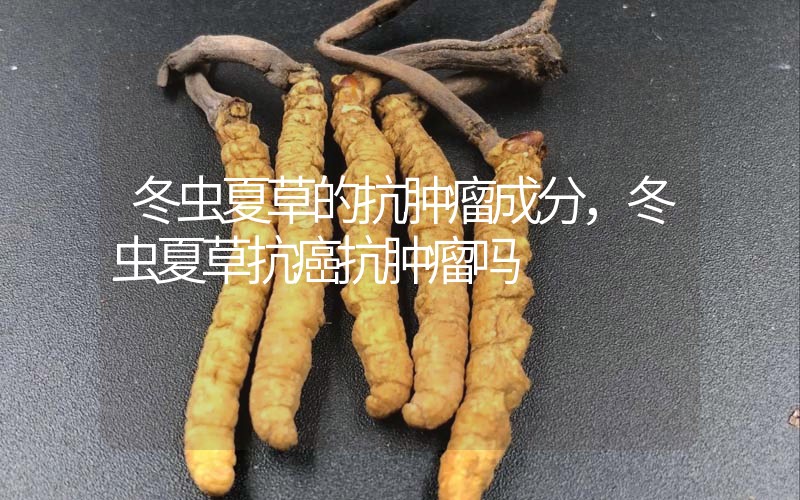 冬蟲夏草的抗腫瘤成分，冬蟲夏草抗癌抗腫瘤嗎？
