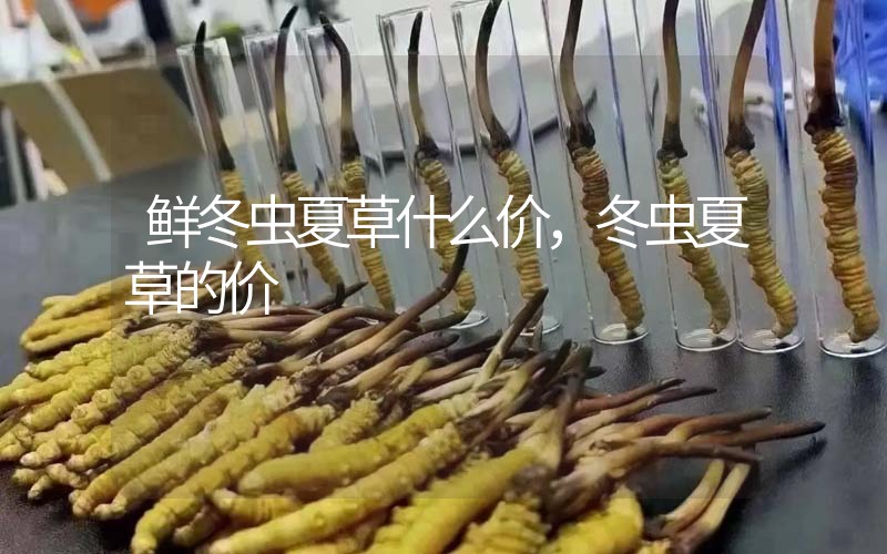 鮮冬蟲夏草什么價(jià)，冬蟲夏草的價(jià)格