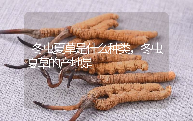 冬蟲夏草是什么種類，冬蟲夏草的產(chǎn)地是