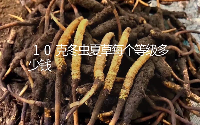 10克冬蟲夏草每個等級多少錢？