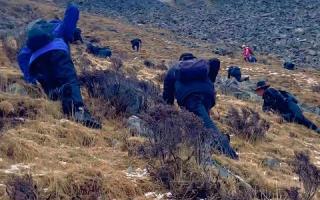 那曲比如縣各鄉(xiāng)鎮(zhèn)蟲草采集點群眾進(jìn)點工作已基本完畢