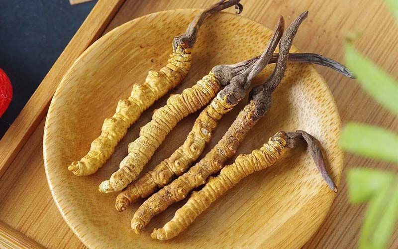 冬蟲(chóng)夏草作用可以調(diào)節(jié)身體肝臟功能嗎?