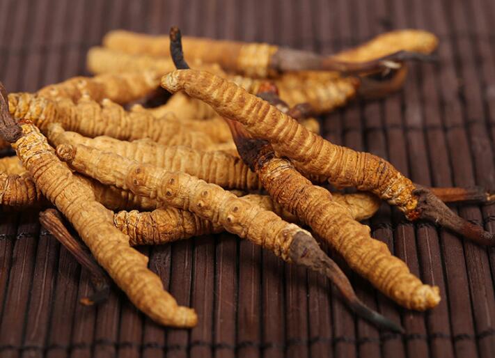 什么樣的冬蟲夏草算是優(yōu)質(zhì)的？