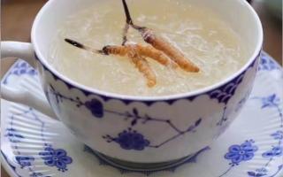 冬蟲夏草搭配什么吃好?