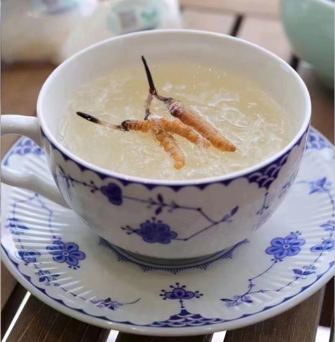 養(yǎng)生小竅門：冬蟲夏草燉什么好喝？