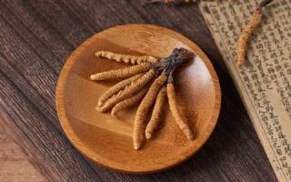 冬蟲夏草真的含有重金屬嘛？