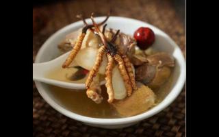 冬蟲(chóng)夏草鴿子湯怎么做？