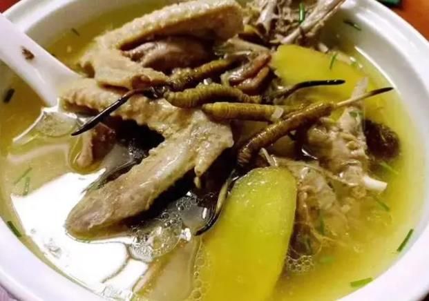 冬蟲(chóng)夏草和哪些食材可以一起煲湯？