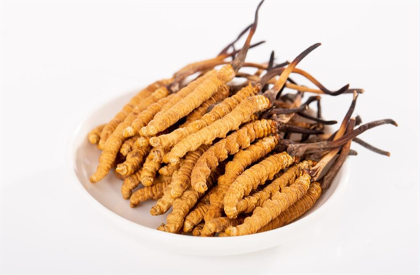 冬蟲(chóng)夏草和夾脊魚(yú)搭配怎么吃？