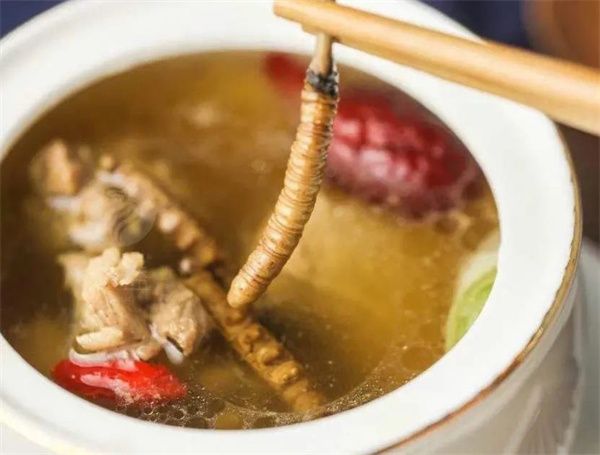 冬蟲夏草怎么補腎壯陽？冬蟲夏草補腎壯陽的方法