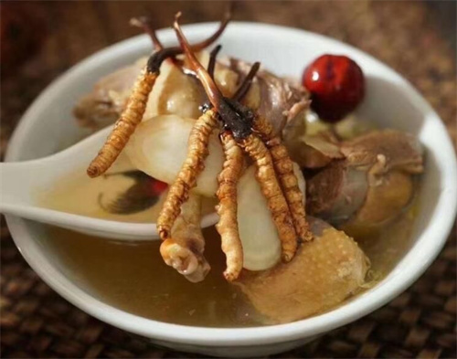 冬蟲夏草可以燉海鯽魚嗎？
