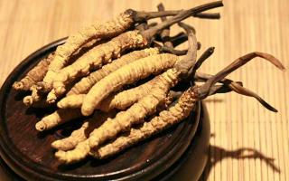 冬蟲夏草的價格一克：為何如此昂貴？