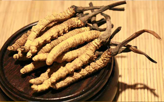 未來冬蟲夏草會漲價嗎？