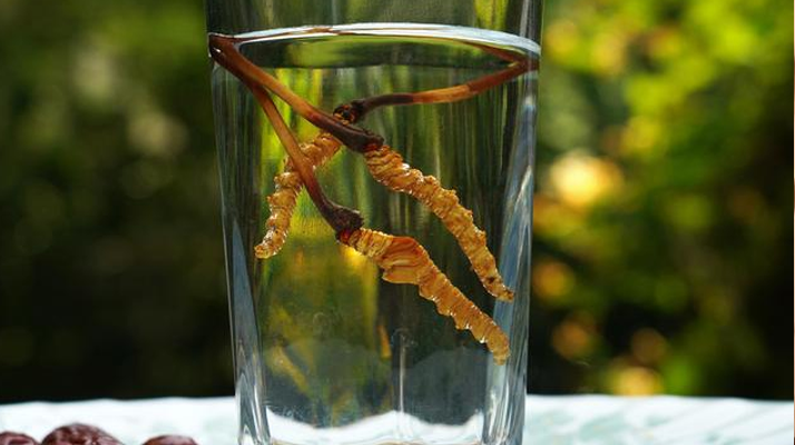 <a href=http://www.dxpav.com/xinxian/ target=_blank class=infotextkey>鮮冬蟲(chóng)夏草</a>怎么泡好吃？這些配方讓滋補(bǔ)更有滋味