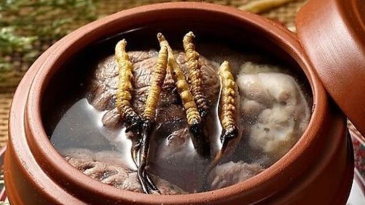 鮮冬蟲夏草吃多會上火嗎?一文解析真相