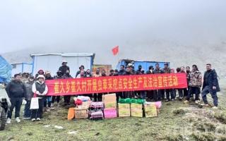 西藏加查:蟲草采挖季 黨群同心共繪豐收畫卷