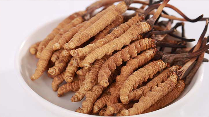 冬蟲夏草燉水鴨，搭配這些食材更滋補(bǔ)