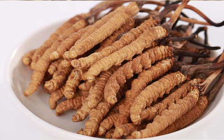 冬蟲夏草燉水鴨，搭配這些食材更滋補(bǔ)