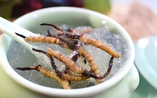 什么時(shí)候吃冬蟲夏草好