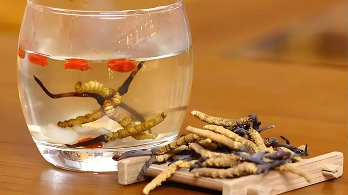 冬蟲夏草與枸杞能一起泡酒嗎？科學(xué)搭配與飲用指南