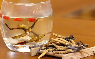 冬蟲夏草與枸杞能一起泡酒嗎？科學(xué)搭配與飲用指南