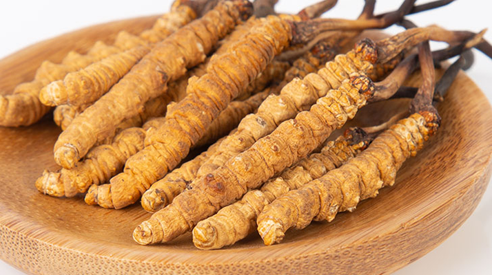 冬蟲夏草，真有那么大效果？