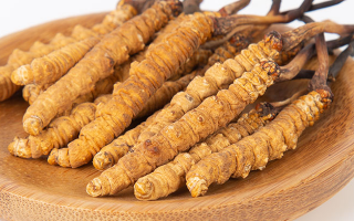 冬蟲夏草，真有那么大效果？