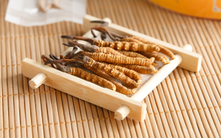 冬蟲夏草老鴨湯怎么燉？鮮香滋補(bǔ)的詳細(xì)做法與技巧