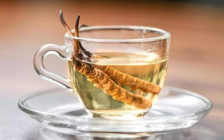 一瓶酒泡多少冬蟲(chóng)夏草？科學(xué)搭配有講究