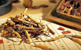 冬蟲(chóng)夏草最新行情走勢(shì):多因素交織下的市場(chǎng)變局