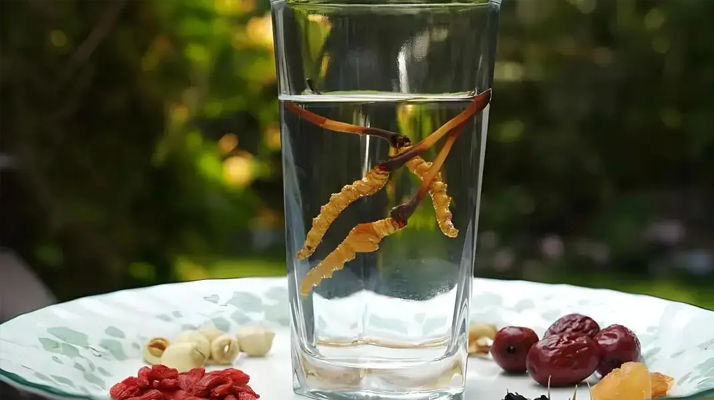 人參配蟲(chóng)草泡酒，泡多久才好喝 