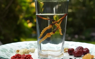 人參配蟲草泡酒，泡多久才好喝？咱跟你說實(shí)在的
