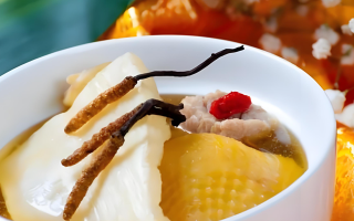 黃芪能和西藏那曲的冬蟲夏草一起燉嗎？