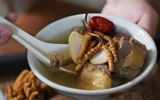 冬蟲夏草和什么一起燉可以治咳嗽？