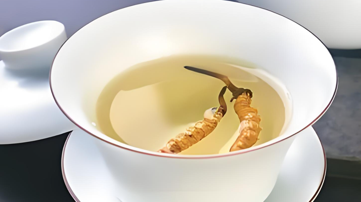 鮮冬蟲夏草可以煮水喝嗎？有什么功效和作用？